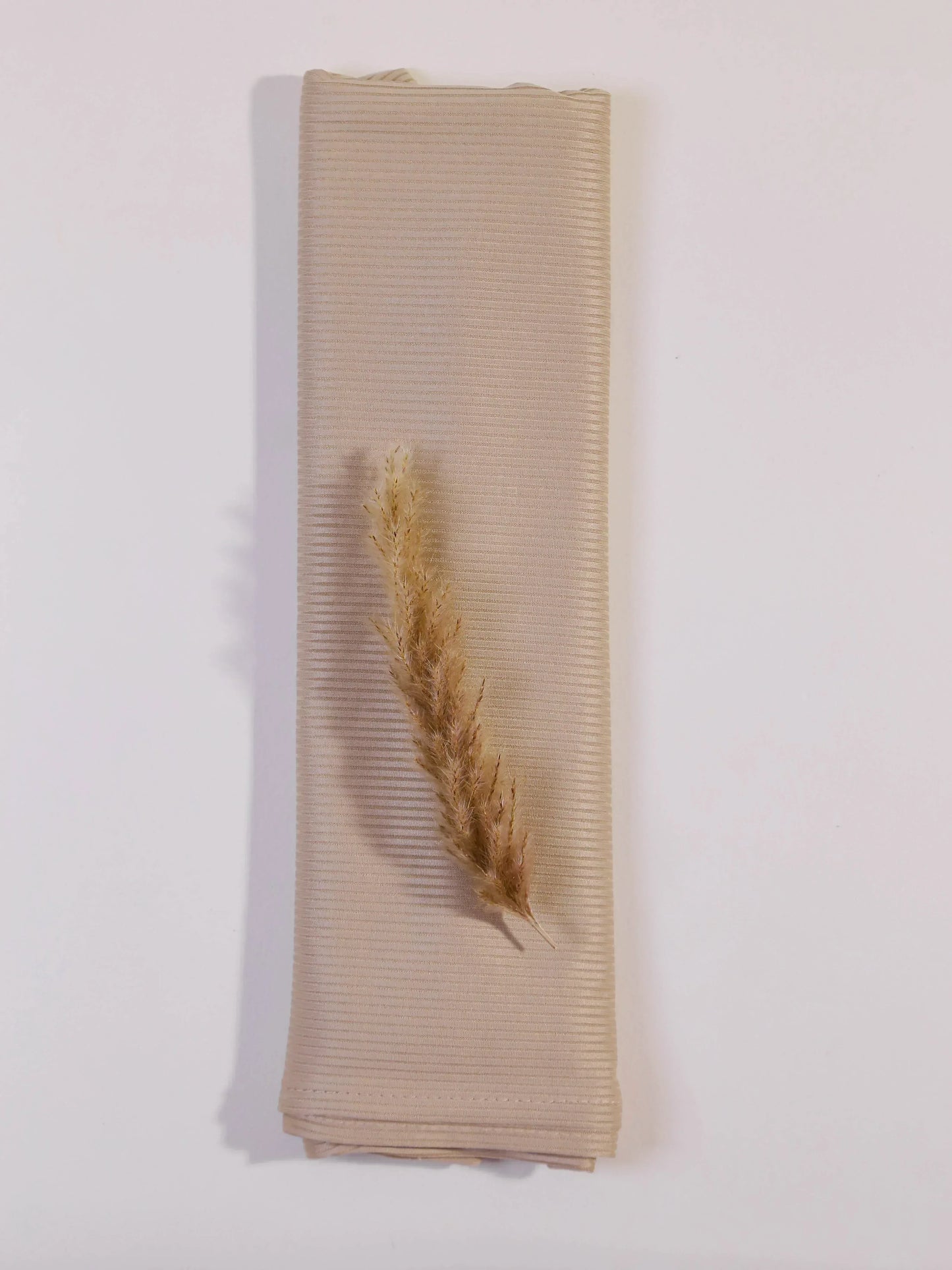 Beige ribbed fabric with a dried plant on a white background